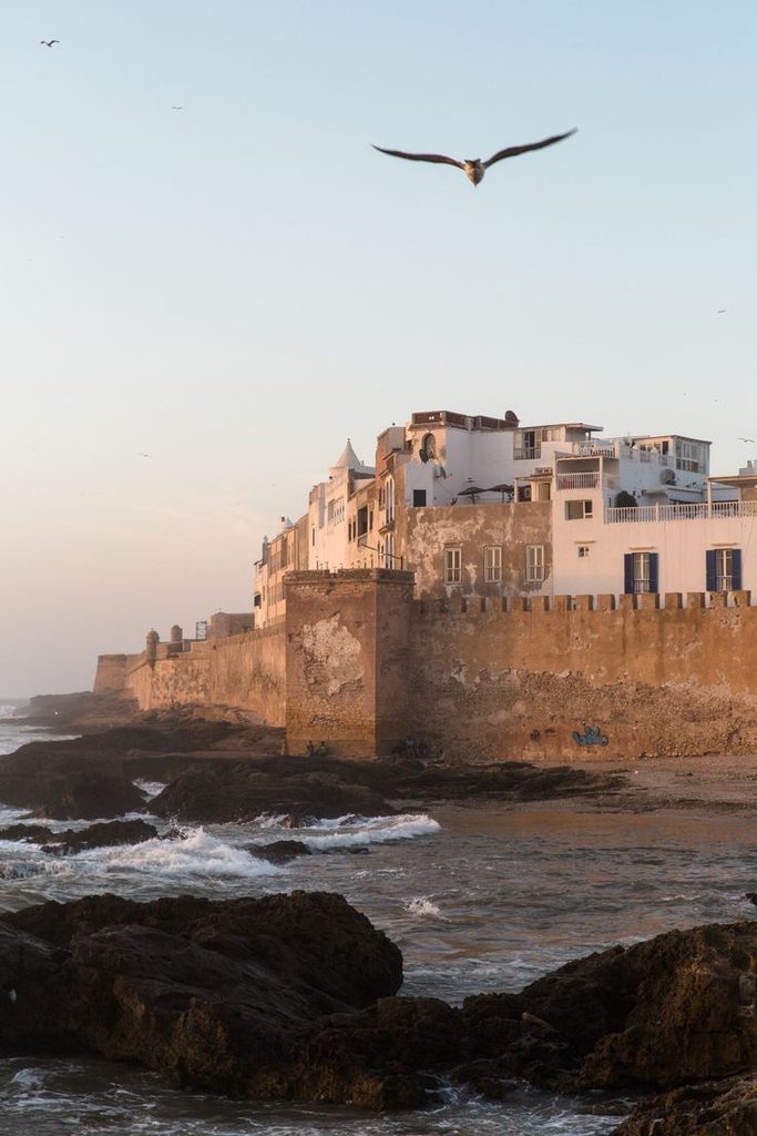 Discover the beauties of Morocco
Destination Wedding Services
Discover Jordan
Vacation for couples
Couples travel destinations